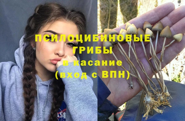 амфетамин Дмитриев