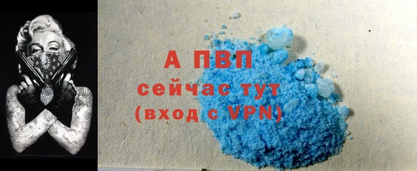 гашик Дмитровск