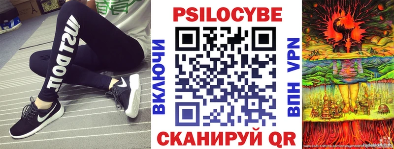 Псилоцибиновые грибы GOLDEN TEACHER  Купить где  Полярные Зори 